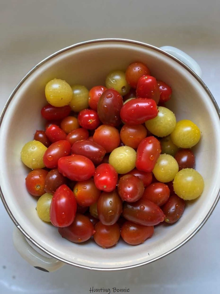 Tomates cerises anciennes